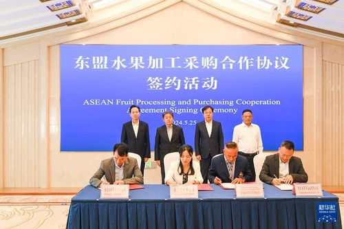 渝西新機遇 東盟水果加工分撥中心落戶永川，賦能區域旅游新篇章